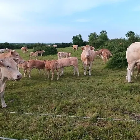 Maison 8 Personnes Et Un De 4 Personnes A 12km Du Parc Villa La Verrie
